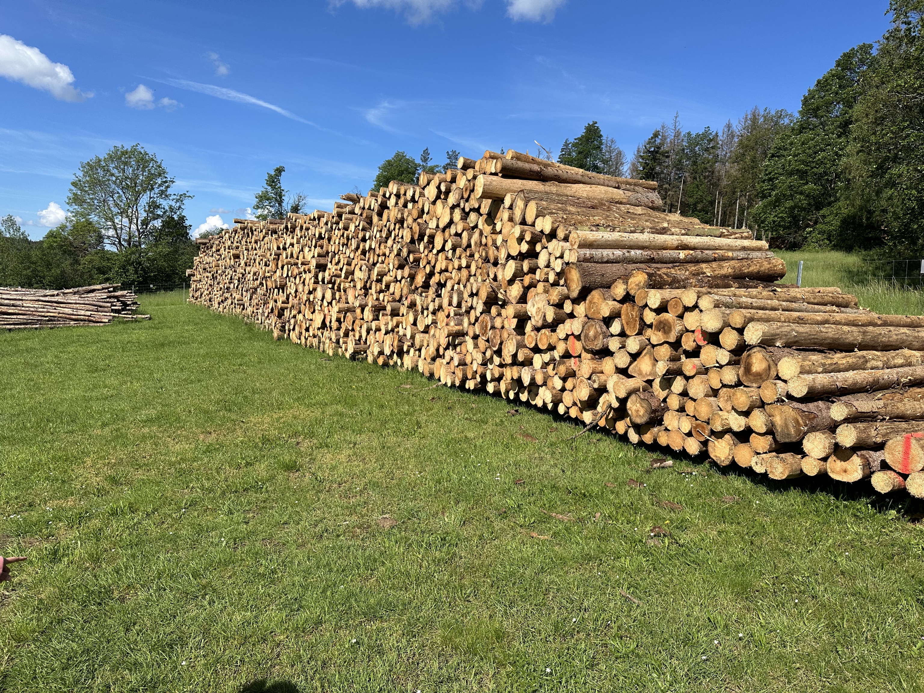 Lagerbestand an Brennholz